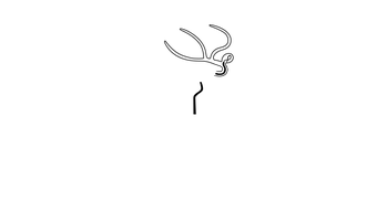 Dr. Orlando Villarreal — Neurocirujano